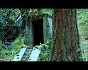 PDVD_1690