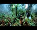 PDVD_1693