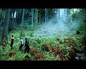 PDVD_1695