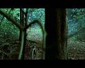 PDVD_1696