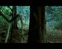 PDVD_1697