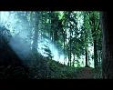 PDVD_1715