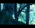 PDVD_1717