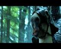 PDVD_1723