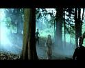PDVD_1729