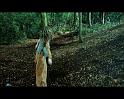 PDVD_1736
