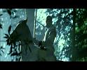 PDVD_1753
