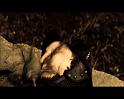 PDVD_2112