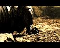 PDVD_2131
