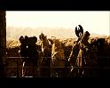 PDVD_2148
