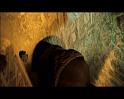 PDVD_2158