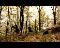 PDVD_2206