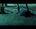 PDVD_2284