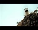PDVD_2379