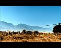 PDVD_2586