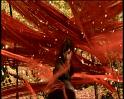 PDVD_1101