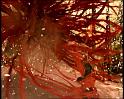 PDVD_1103