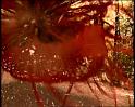 PDVD_1104