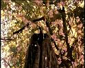 PDVD_1109