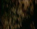 PDVD_1112