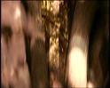 PDVD_1117