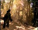 PDVD_1120