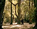 PDVD_1128