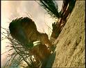 PDVD_1137