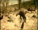 PDVD_1142