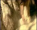 PDVD_1147