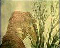 PDVD_1149