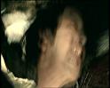 PDVD_1157