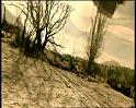 PDVD_1165
