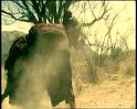 PDVD_1168