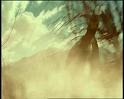 PDVD_1170