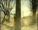 PDVD_1173