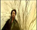 PDVD_1181