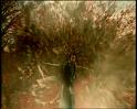 PDVD_1187