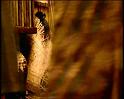 PDVD_119