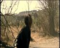 PDVD_1194