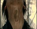 PDVD_1197