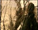 PDVD_1201