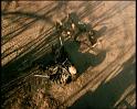 PDVD_1204