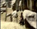 PDVD_1215