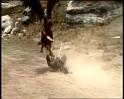 PDVD_1219