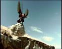 PDVD_1229