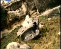 PDVD_1234