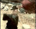 PDVD_1237