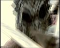 PDVD_1239