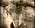 PDVD_1250